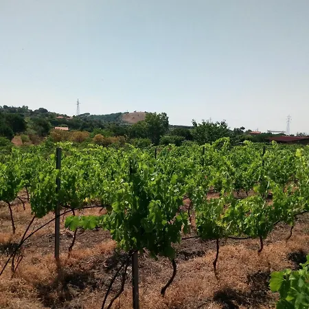 בית נופש Etnasentieri Wine House On Etna Mount בלפאסו
