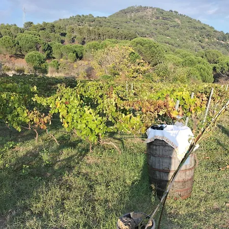 Etnasentieri Wine House On Etna Mount בלפאסו
