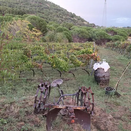 בית נופש Etnasentieri Wine House On Etna Mount בלפאסו