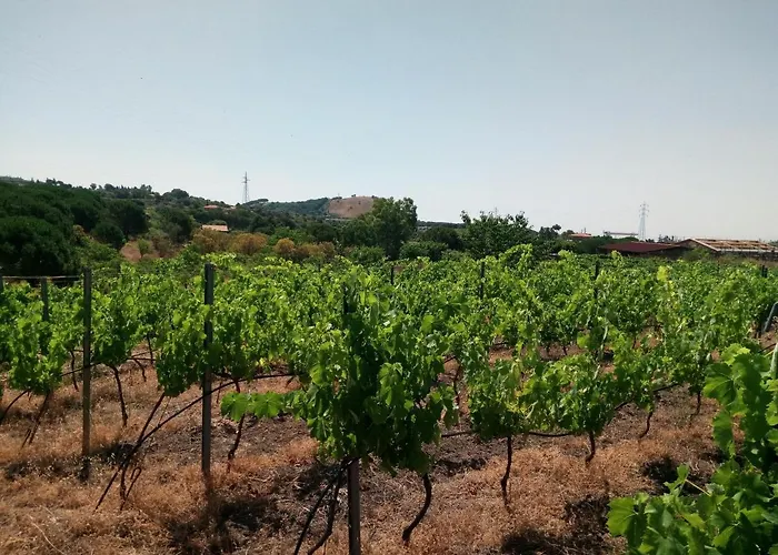 Nyaraló Etnasentieri Wine House On Etna Mount Belpasso
