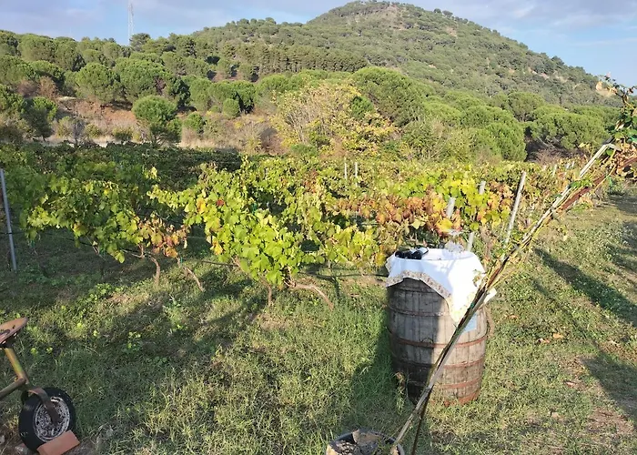 Etnasentieri Wine House On Etna Mount Belpasso