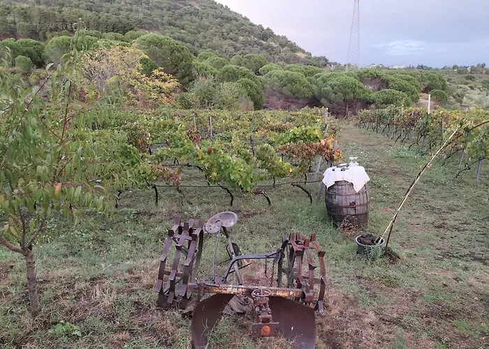 Nyaraló Etnasentieri Wine House On Etna Mount Belpasso